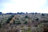 Clicca qui per vedere l'immagine in dettaglio